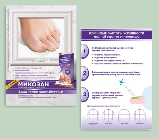 Печатная продукция: Брошюры